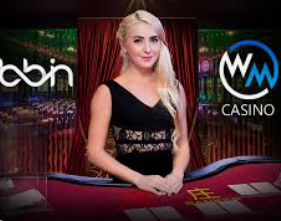 彩神VIl彩票正式版